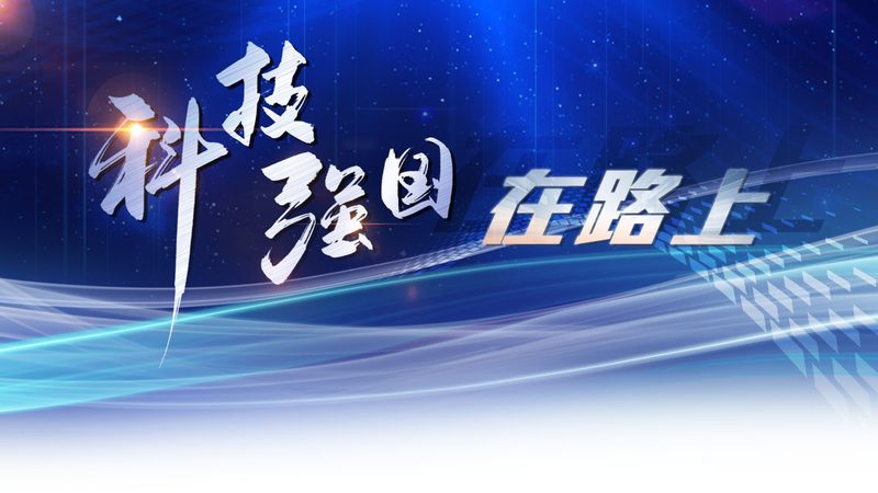 揭秘互联网技术安全规范标准制定流程